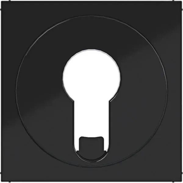 Hager WAF1312BG Zentralstück für Jalousie-Schlüsselschalter/-taster für DIN-Profilzylinder, A.x/C.x, nachtschwarz glänzend