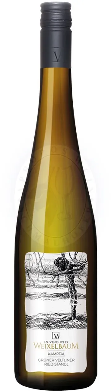 Grüner Veltliner Strass DAC 2025 Weixelbaum 1,5l