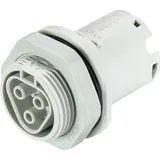Wieland RST20I3 Buchse 3,5 cm