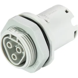 Wieland RST20I3 Buchse 3,5 cm