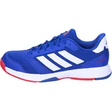 Adidas Herren Ligra 8 Indoor Shoes Schuhe, Team royal Blue/FTWR White/Pure Ruby