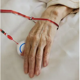 Logilink Smart Home Wi-Fi SOS Button