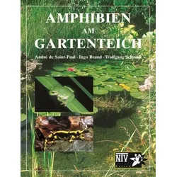 Amphibien am Gartenteich