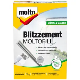 MOLTO Blitzzement grau 1 kg