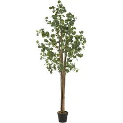 ML-Design Künstlicher Eukalyptus Künstliche Pflanze Eukalyptusbaum Kunstbaum in Topf 210cm