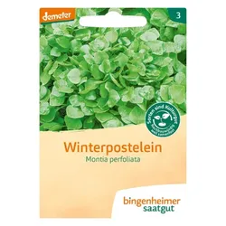 Bingenheimer Saatgut Winterpostelein