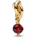 Pandora Ewigkeitskreis Gold 763462C01