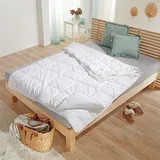 Traumschlaf Faserdecke Thinsulate 4-Jahreszeiten, Füllung: 100% 3M Thinsulate Faser 240x220 cm - weiß