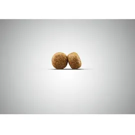 Josera Balance 12,5kg