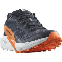 Salomon Herren Sense Ride 5 GTX Schuhe (Größe 48, grau)