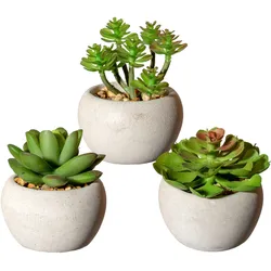 Künstliche Zimmerpflanze CREATIV GREEN "Sukkulenten", grün, H:9cm Ø:7cm, Kunststoff, Kunstpflanzen