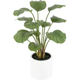 Künstliche Calathea - Juana | 68 cm
