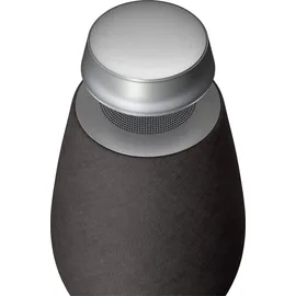 LG XBOOM Go DXO2 schwarz