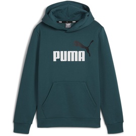 Puma Ess+ 2 Col Big Logo Kapuzenpullover Cold Green 5-6 Jahre