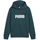 Puma Ess+ 2 Col Big Logo Kapuzenpullover Cold Green 5-6 Jahre