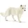 Schleich Wild Life-Polarfuchs 14805