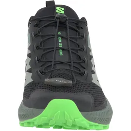 Salomon Sense Ride Herren Black/Laurel Wreath/Green Gecko 41 1/3