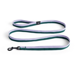 HAY - Dogs Hundeleine, M/L lavendel / grün