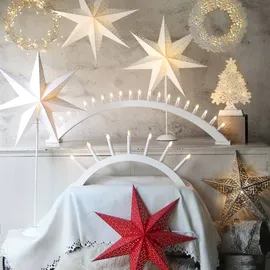 Star Trading Weihnachtsstern Dot Weiß 2 St.
