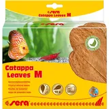 Sera Catappa Leaves - Seemandelbaumblätter für die natürliche Wasseraufbereitung, M (10er Pack)
