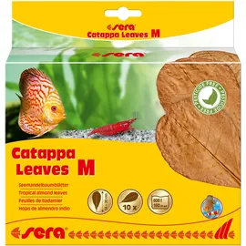 Sera Catappa Leaves - Seemandelbaumblätter für die natürliche Wasseraufbereitung, M (10er Pack)