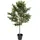Kare Deko Pflanze Olive Tree 120cm",