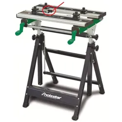 Holzstar Prismenbacke SWT 100 klein