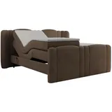 MKS Fortina 140 x 200 cm H3 Braun
