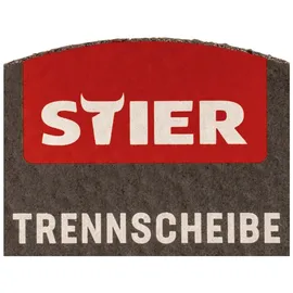 Stier Trennscheibe Edelstahl 125 x 1,0 x 22,23 mm 10 Stk