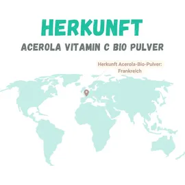 sinoplasan gmbh Bio Acerola Vitamin C Pulver 250 g