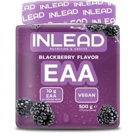 INLEAD EAA Apfel Pulver 500 g