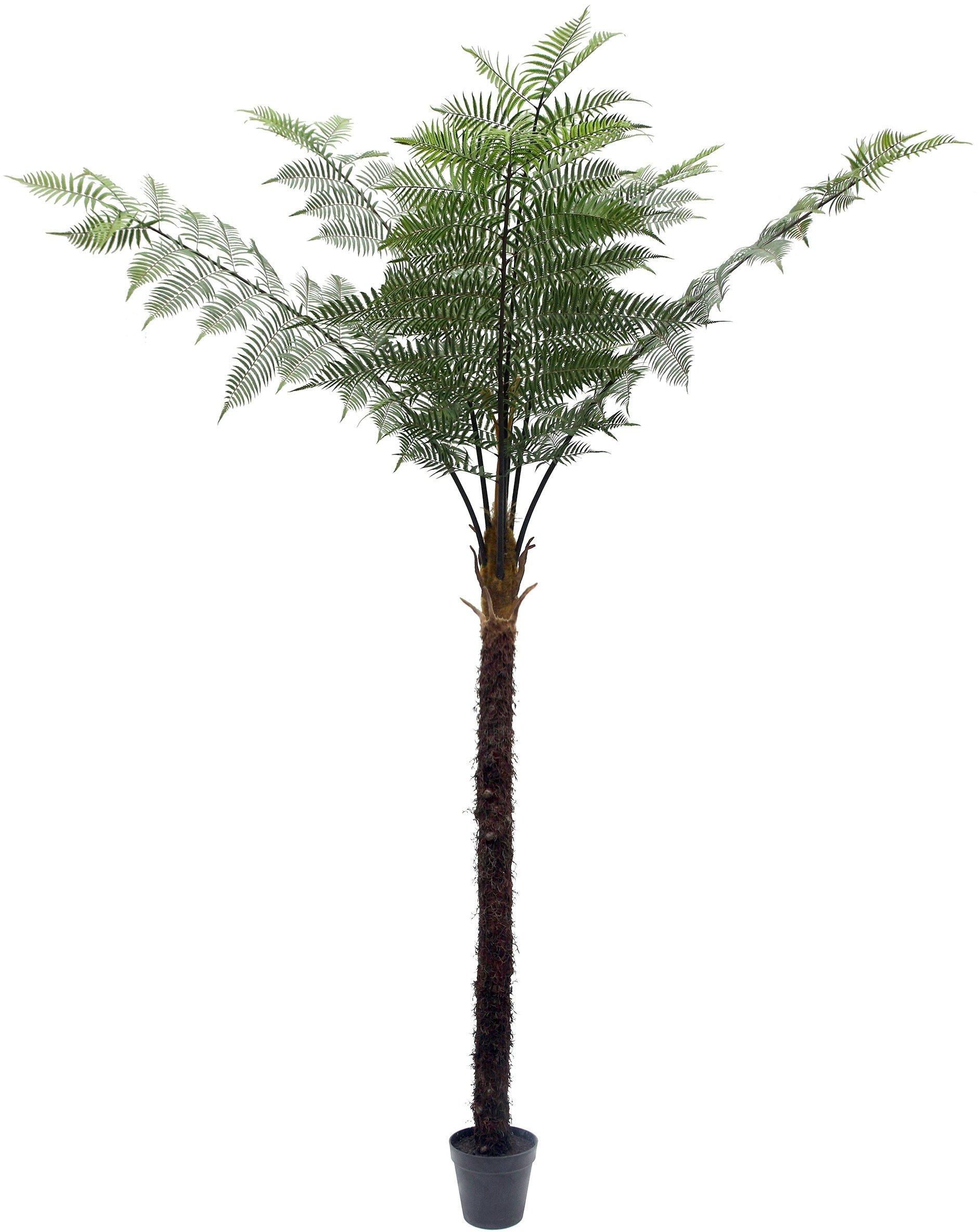 CREATIV green Künstlicher Baum Baumfarn 330cm im Topf
