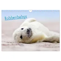 Calvendo Robbenbabys (Wandkalender 2026 DIN A4 quer), CALVENDO Monatskalender: