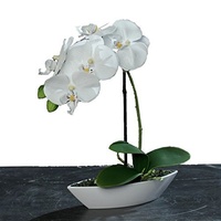 Künstliche Orchidee im Topf I Weiss I künstliche Phalaneopsis in Dekoschale