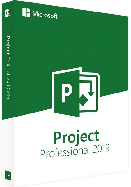 office 2019 professional