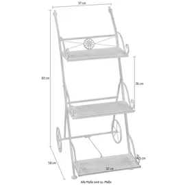 moebel-direkt-online Blumentreppe Gerhard 60 x 30 cm Grau