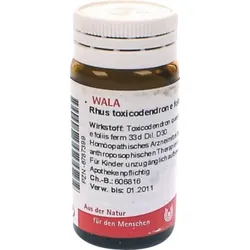 RHUS TOXICODENDRON E foliis D 30 Globuli 20 g
