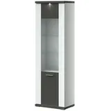 Sconto Vitrine Titan ¦ grau ¦ Maße (cm): B: 66 H: 207 T: 42