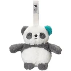 Tommee Tippee Grofriend Pip the Panda kontrastierendes Hängespielzeug mit Melodie 1 St.