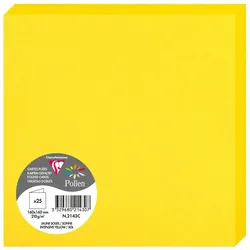 Pollen 250x Pollen, Faltkarten 160x160 mm, 210g - Sonne 2143C