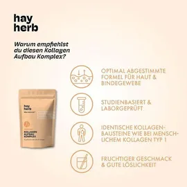 hay herb Kollagen Aufbau Komplex Pulver 168 g