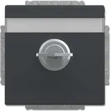 Busch-Jaeger Steckdoseneinsatz 20 EUKNBSL-81-101 Anthrazit