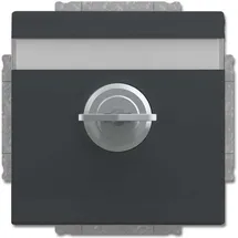 Busch-Jaeger Steckdoseneinsatz 20 EUKNBSL-81-101 Anthrazit