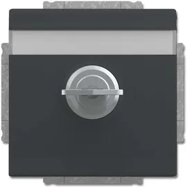 Busch-Jaeger Steckdoseneinsatz 20 EUKNBSL-81-101 Anthrazit