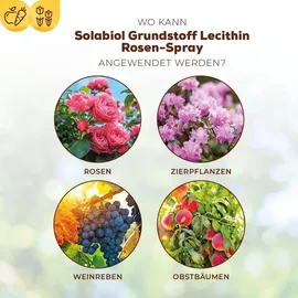 Solabiol Lecithin Rosen-Spray 1 l