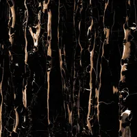 Euro Stone Feinsteinzeugfliese Vegas Schwarz 60 x 60 cm