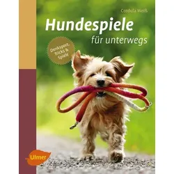 Hundespiele für unterwegs