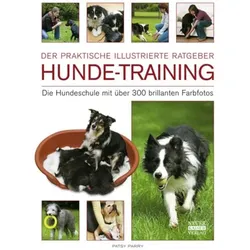 Hunde-Training