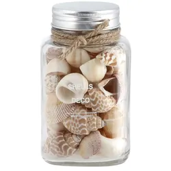 HOME STORY Muschelmix im Glas   , beige , Naturfaser,Glas , Maße (cm): B: 9 H: 14,8 T: 9.0