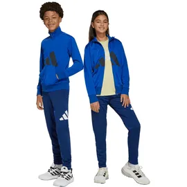 adidas Essentials Climacool Kinder Sportanzug Kids, ROYBLU/BLACK, 152